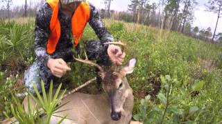 GREEN SWAMP WMA MONSTER BUCK [upl. by Esirahs683]