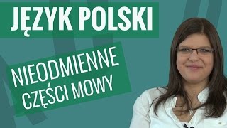 Język polski  Nieodmienne części mowy [upl. by Ricki]