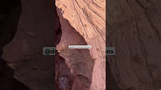 Antelope Flash Flood antelopecanyon flashflood extreamweather flood canyon slotcanyon watet [upl. by Lavella]