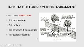 9 RPSCACF 2020  Silviculture  influence of forest over their environment tree growth forms [upl. by Ennalorac]