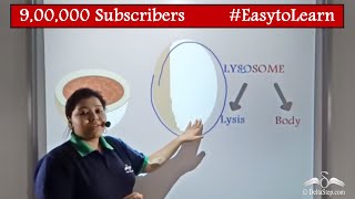 Lysosome  Structure and Function  Cells  Class 9  CBSE  NCERT  ICSE [upl. by Eelyahs]