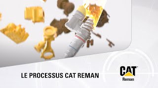 Le Processus Cat Reman [upl. by Zuckerman877]