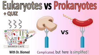 Eukaryotes vs Prokaryotes [upl. by Roscoe]