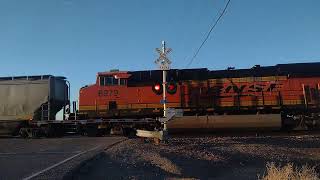 EB BNSF Empty Grain Train Feat NS At Newberry Springs Ca bigbossrailfanner [upl. by Dorene]