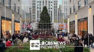 2023 Rockefeller Center Christmas tree arrives in NYC [upl. by Edmund]