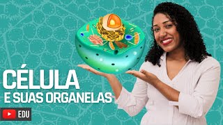 Aula Célula e suas organelas [upl. by Seidnac]