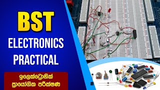 BST Saman ජෛව පද්ධති තාක්ෂණවේදය  ඉලෙක්ට්රොනික් Biosystems Technologybst Practical [upl. by Muire]