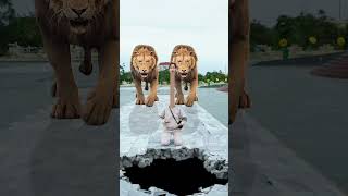 How to escape from two giant lions SpecialEffectsVideos lion shorts funny [upl. by Ihtac]