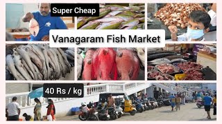 New Vanagaram Fish Market  Best wholesale fish market in Chennai  Kutty Kasimedu in Vanagram [upl. by Lyns860]