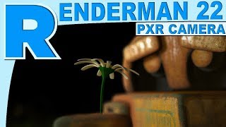 Renderman 22 PxrCamera Tutorial [upl. by Eednar420]