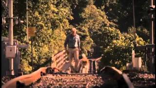 Hachiko A Dogs Story Movie Trailer [upl. by Arne194]