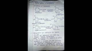 Biosynthesis of catecholamine and synthesis of phenylephrine shortvideo [upl. by Auohc]