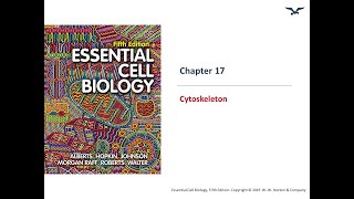 Cytoskeleton Part I [upl. by Petit]