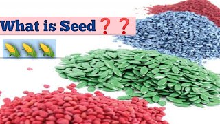 what is seed❓❓Characteristics of quality seed [upl. by Kcinimod]