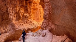 Bryce Canyon National Park Navajo Loop amp Queen’s Garden trail [upl. by Shaw]