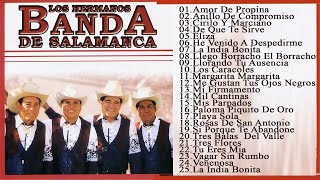 Los Hermanos Banda 30 Grandes Exitos Inolvidables  Los Hermanos Banda Sus Mejores Canciones [upl. by Viscardi816]