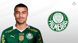 Rafinha Alcântara ► Bem Vindo ao Palmeiras ● Skills amp Goals 2024  HD [upl. by Aerdnahs]