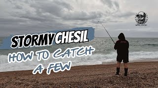 Stormy Chesil  How To Catch A Few on Chesil Beach  Fishing With Wayne 🎣 [upl. by Tavey150]