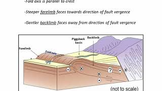 Fold and Thrust belts an example from the Andes C7 [upl. by Heinrick]