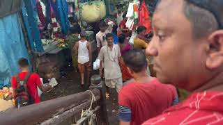 Malik Ghat Flower Market Biggest Flower hub in Asia  Under Howrah BridgeKolkata  iPixzoo [upl. by Massingill]