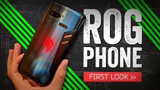 ASUS ROG Phone Overkill Is Underrated [upl. by Murielle]