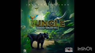 Zerimar  Jungle Official Audio [upl. by Barnebas]