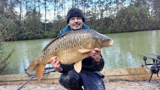 All fish I caught in October 2024 plus new pb [upl. by Aitak]