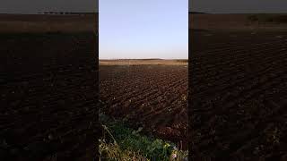 Irrigazione 27102024 farming farmer agriculture agricultura nature agro fruit plants [upl. by Ayvid]