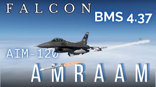 Falcon BMS 437 Tutorial  AIM120 AMRAAM [upl. by Jaimie68]