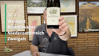 Wine Review Weingut Brundlmayer Niederosterreich Zweigelt 2020 [upl. by Aleinad]