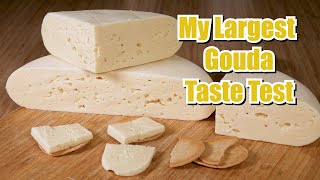 My Largest Gouda Taste Test [upl. by Atrim]