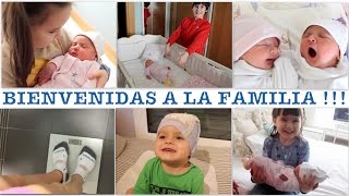 VLOG DIARIO  Los hermanos conocen a las mellizas primer día en casa [upl. by Nabala]