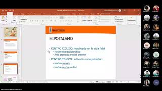 4 Eje hipotálamo hipofisario Dra Muñante [upl. by Fairfax]