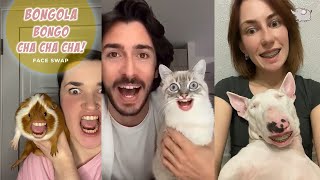 BONGOLA BONGO CHA CHA CHA ANIMAL FACE SWAP WITH TIKTOK  FUNNIEST TIKTOK FACE SWAPS [upl. by Atonsah]