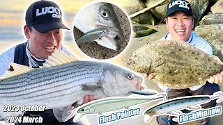 【California Surf Fishing】Flashminnow 110  2023 October to 2024 March Highlights【Benjie Kim】 [upl. by Ibrik]