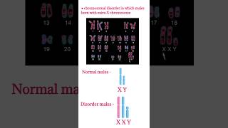 Klinefilter syndrome  Symptoms chromosomal disorderXXY male chromosomes shorts klinefelter [upl. by Ikir942]