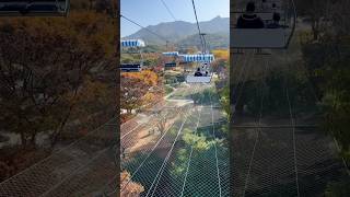 Taking Skylift in Seoul Grand Park 🍁 [upl. by Odlo516]