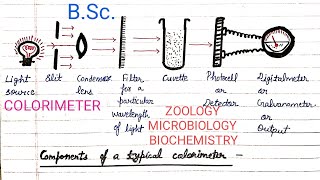 Colorimeter  Colorimetry  BSc  Introduction  Laws Working  Use  Advantages  Disadvantages [upl. by Aihseken]