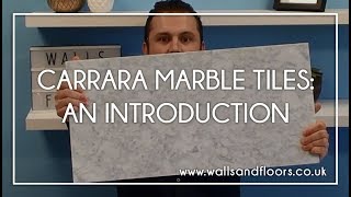 Polished Natural Carrara Marble Tile  An Introduction [upl. by Iliak]