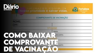 Como baixar comprovante de vacinação contra a Covid19 no Vacine Já [upl. by Oringa]