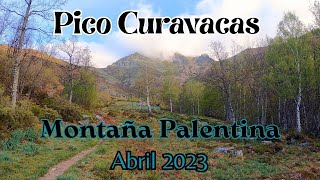 Pico CURAVACAS 2524m Montaña Palentina  Cordillera Cantábrica Abril 2023 4K [upl. by Aseeram]