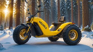 Top 15 Best Electric Trikes For 2025 [upl. by Dorise]