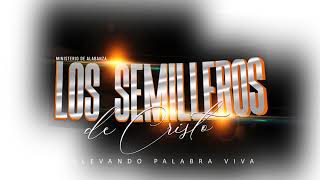 Los Semilleros de Cristo Chayane siga adorando Abbas broadcast [upl. by Labaw]