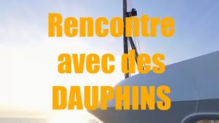 INCROYABLE rencontre avec des dauphins [upl. by Ellezaj639]