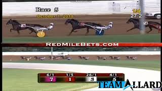 Seismic Wave WORLD RECORD 10718 TeamAllard horseracing [upl. by Tollman176]