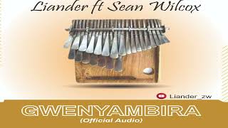 LianderGwenyambira ft SeanWilcox [upl. by Adela]