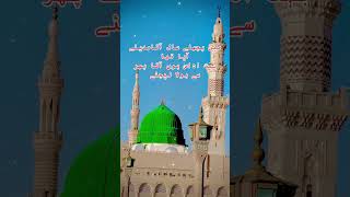 Main pichle saal aaqa madine naat islamicscholar islamicmusic naat hearttouching shortsvideo [upl. by Viehmann449]