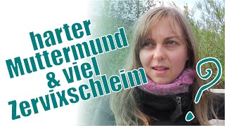 Harter Muttermund und viel Zervixschleim  Bin ich jetzt schwanger [upl. by Nydia544]