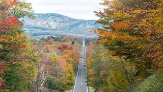 Cumberland Mountains The Most Majestic Range In the Us [upl. by Ahsinut658]