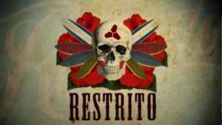 Restrito [upl. by Anawad]